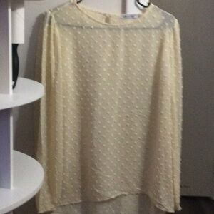 Sheer Swiss Dot Long Sleeve Blouse — Cream